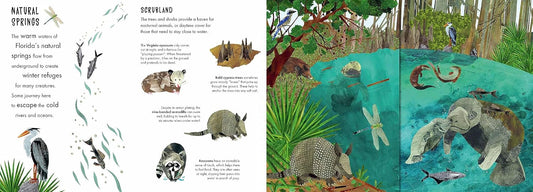 Habitats: A Journey in Nature (Hardcover) by Hannah Pang (Author), Isobel Lundie (Illustrator)