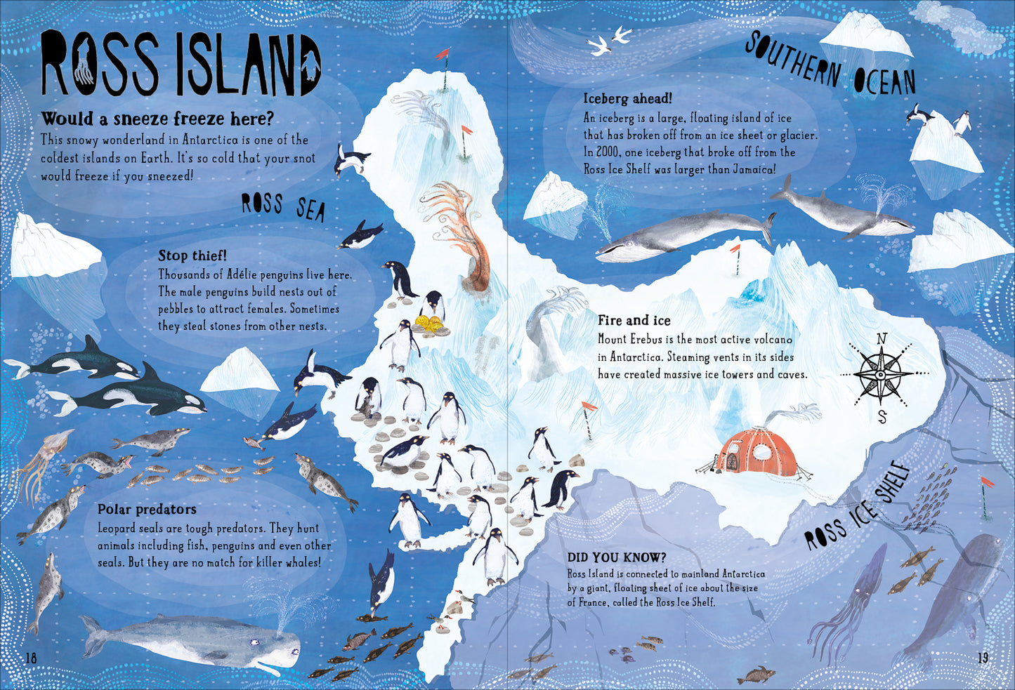 Our Islands Yuval Zommer (Hardcover)