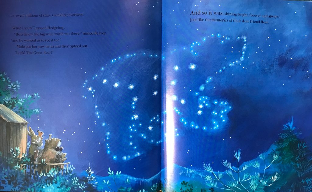 Goodbye Bear Author: Jane Chapman