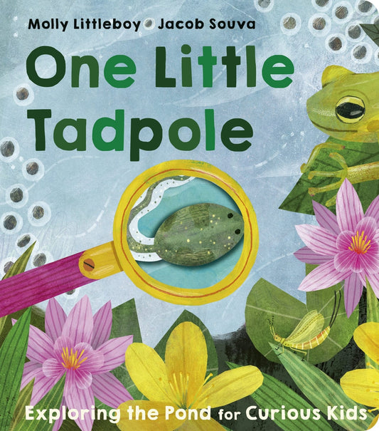 little tiger One Little Tadpole Author: Molly Littleboy, Illustrator: Jacob Souva (Board Book)