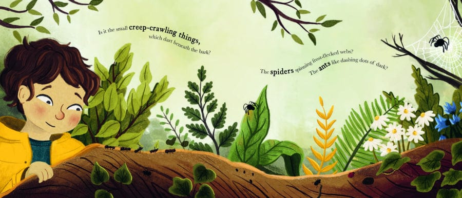 little tiger Who Owns the Woods? Author: Emily Hibbs, Illustrator: Jess Mason