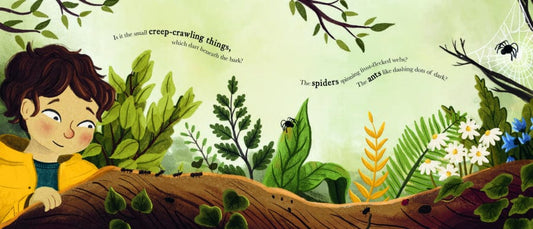 little tiger Who Owns the Woods? Author: Emily Hibbs, Illustrator: Jess Mason