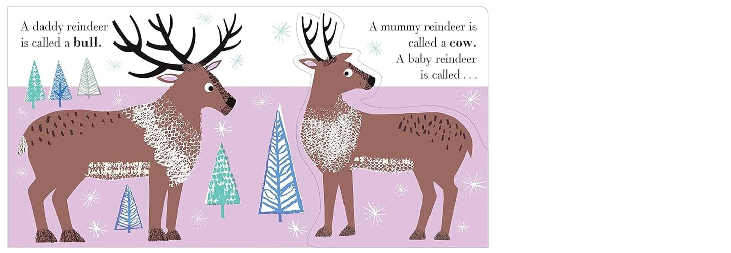 Nosy Crow Animal Families: Snow (Board book) by Jane Ormes (Author, Illustrator)