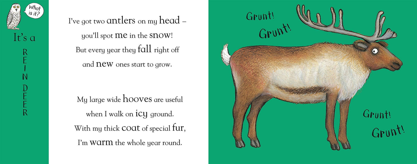 Nosy Crow Axel Scheffler's Flip Flap Frozen Hardcover by Axel Scheffler (Author)