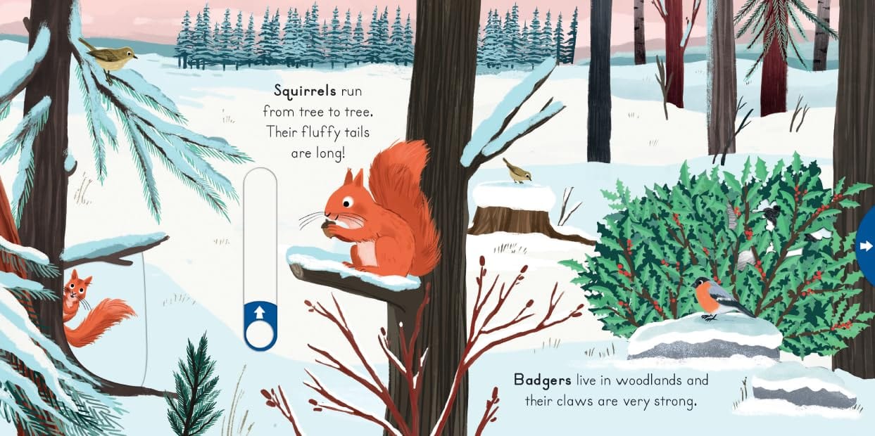 Nosy Crow National Trust: Big Outdoors for Little Explorers: Snow( Board book ) by Anne-Kathrin Behl (Author)