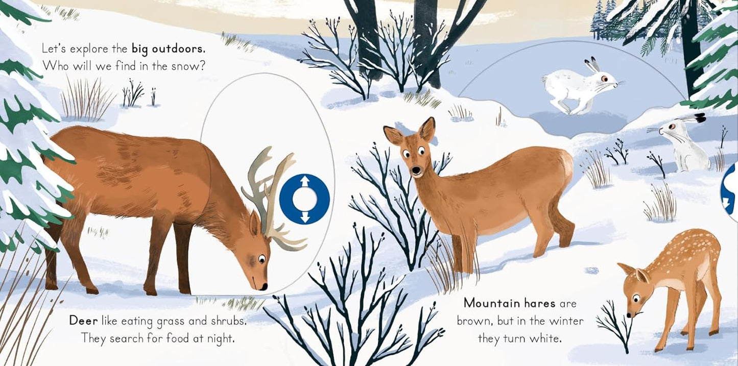 Nosy Crow National Trust: Big Outdoors for Little Explorers: Snow( Board book ) by Anne-Kathrin Behl (Author)