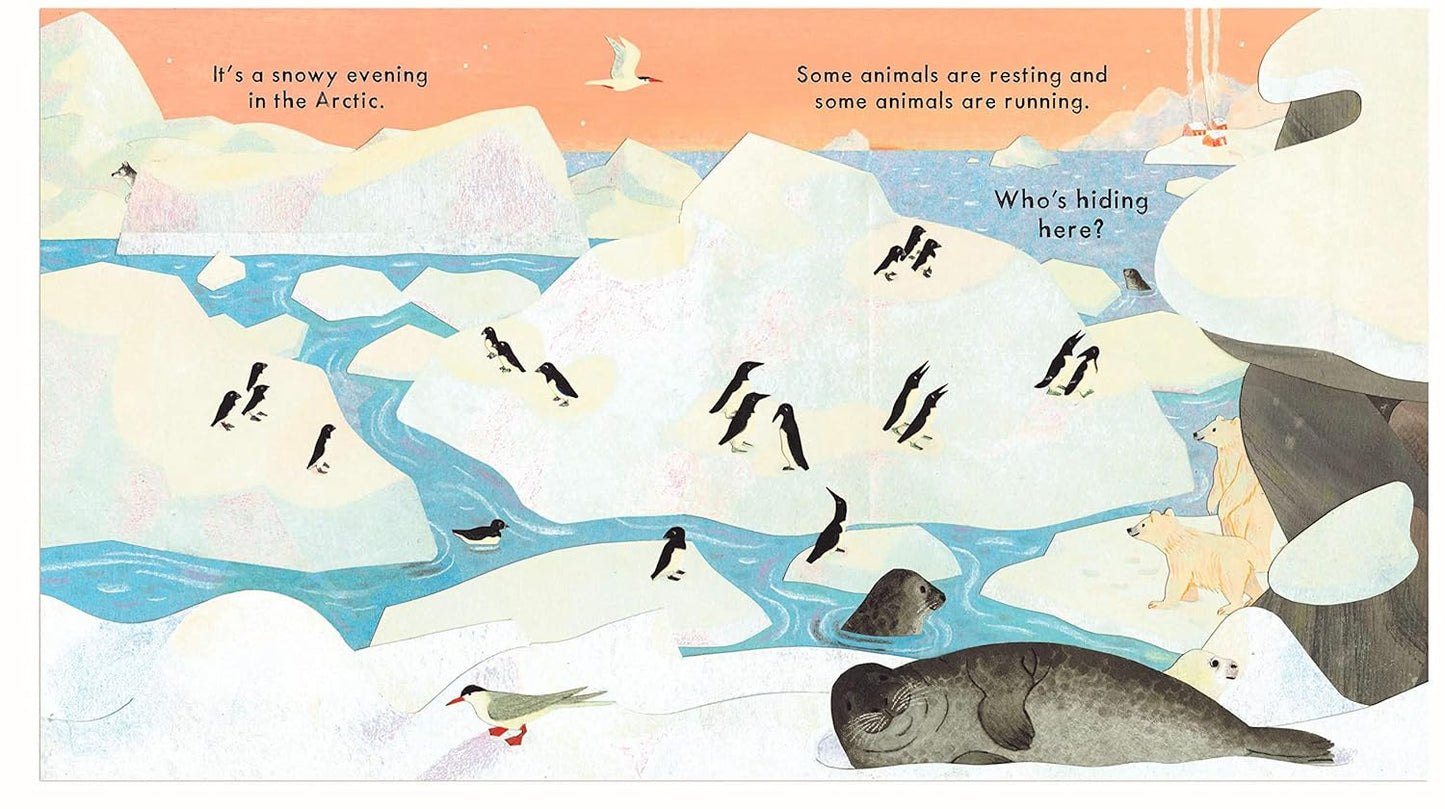 Nosy Crow Who's Hiding in the Snow? ( Board book) by Katharine McEwan