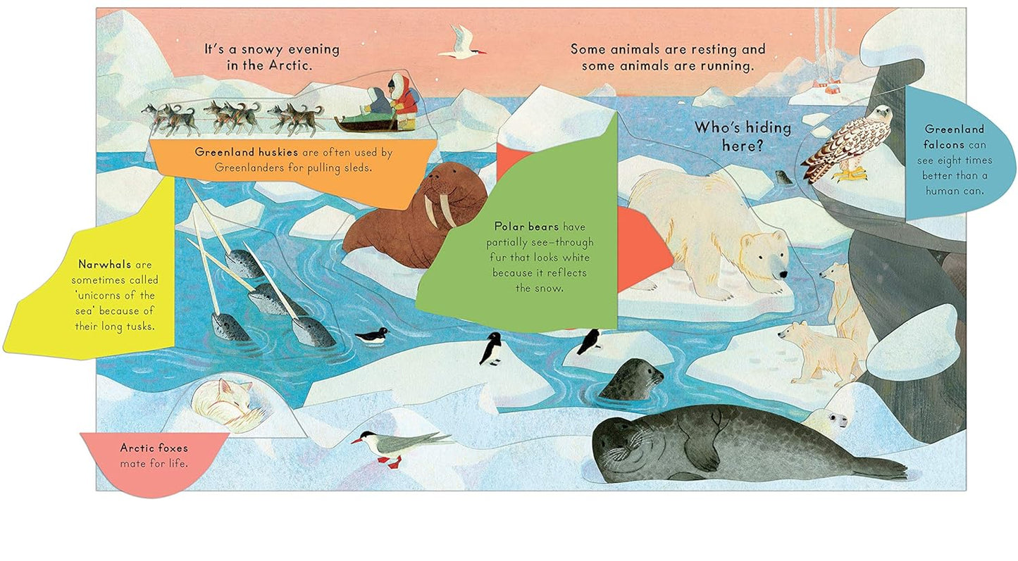 Nosy Crow Who's Hiding in the Snow? ( Board book) by Katharine McEwan
