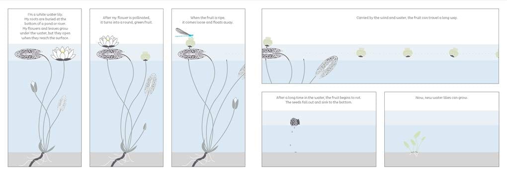 T&H From Tiny Seeds: The Amazing Story of How Plants Travel Hardcover by Émilie Vast (Author)