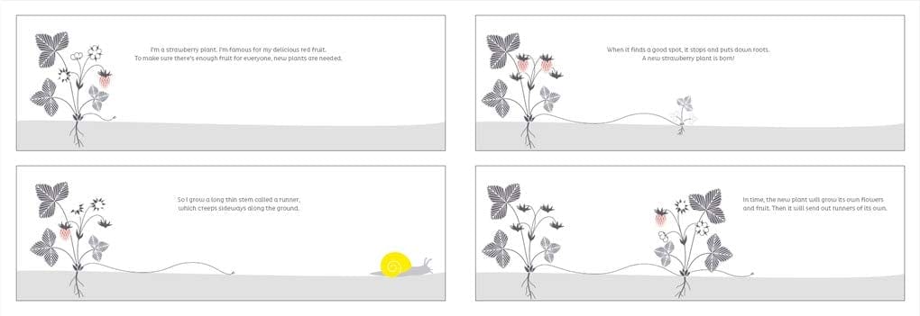 T&H From Tiny Seeds: The Amazing Story of How Plants Travel Hardcover by Émilie Vast (Author)