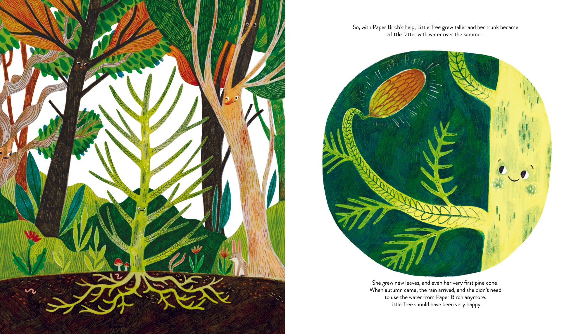 T&H LITTLE TREE AND THE WOOD WIDE WEB By Lucy Brownridge