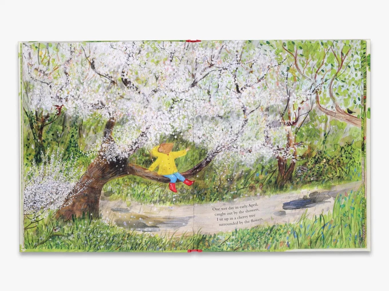 T&H Mouse's Wood A Year in Nature  By Alice Melvin
