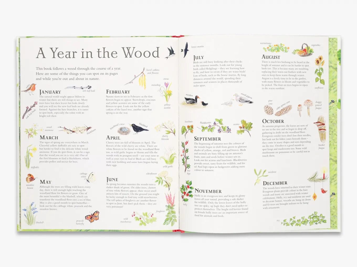 T&H Mouse's Wood A Year in Nature By Alice Melvin