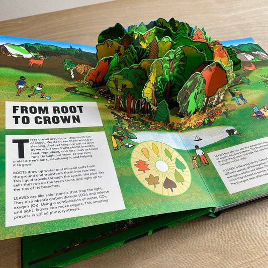 T&H Pop-Up Forest Hardcover by Fleur Daugey (Author), Bernard Duisit Tom Vaillant (Illustrator)