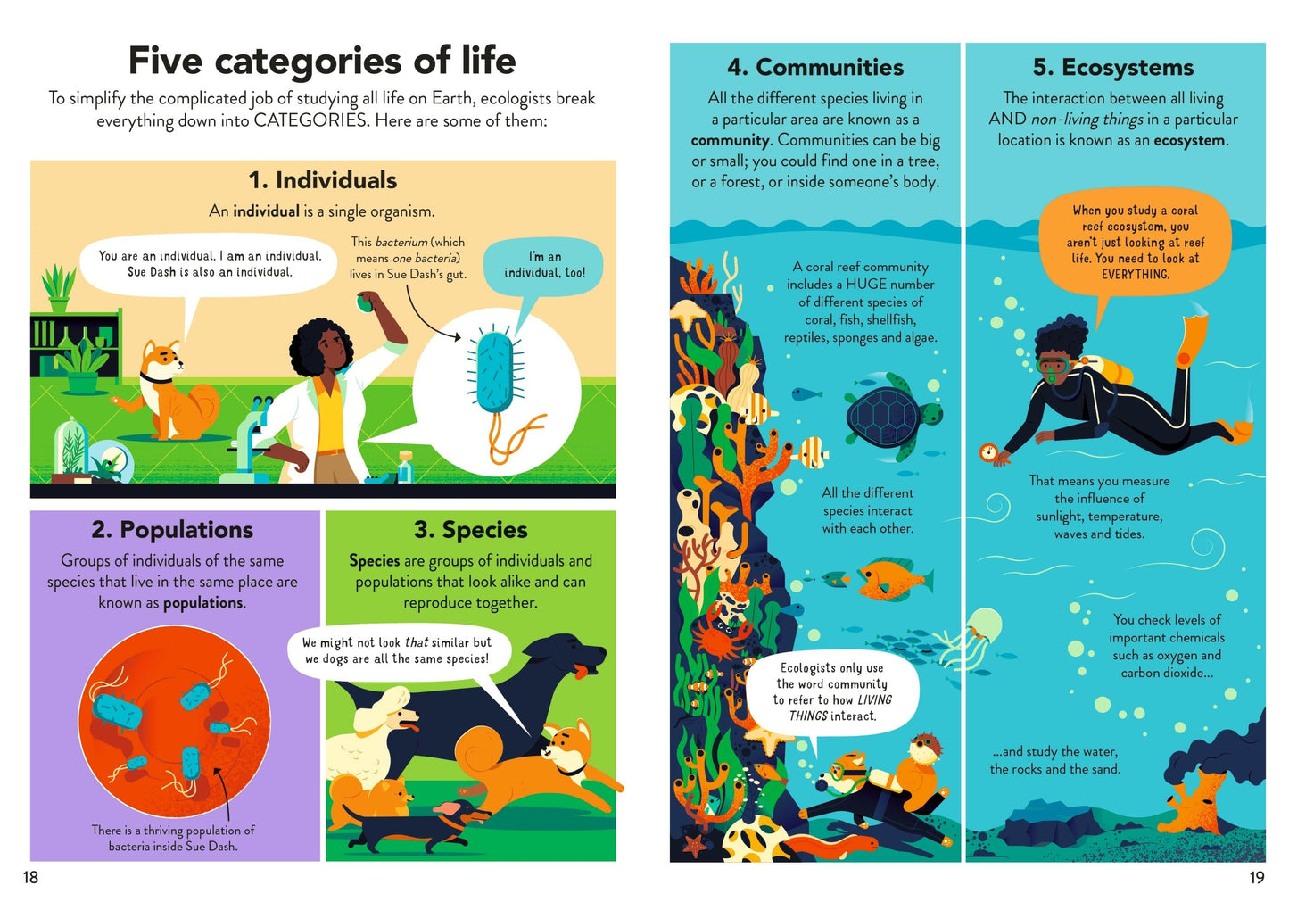 Usborne Ecology for Beginners Lan Cook, Andy Prentice Illustrated by Anton Hallmann