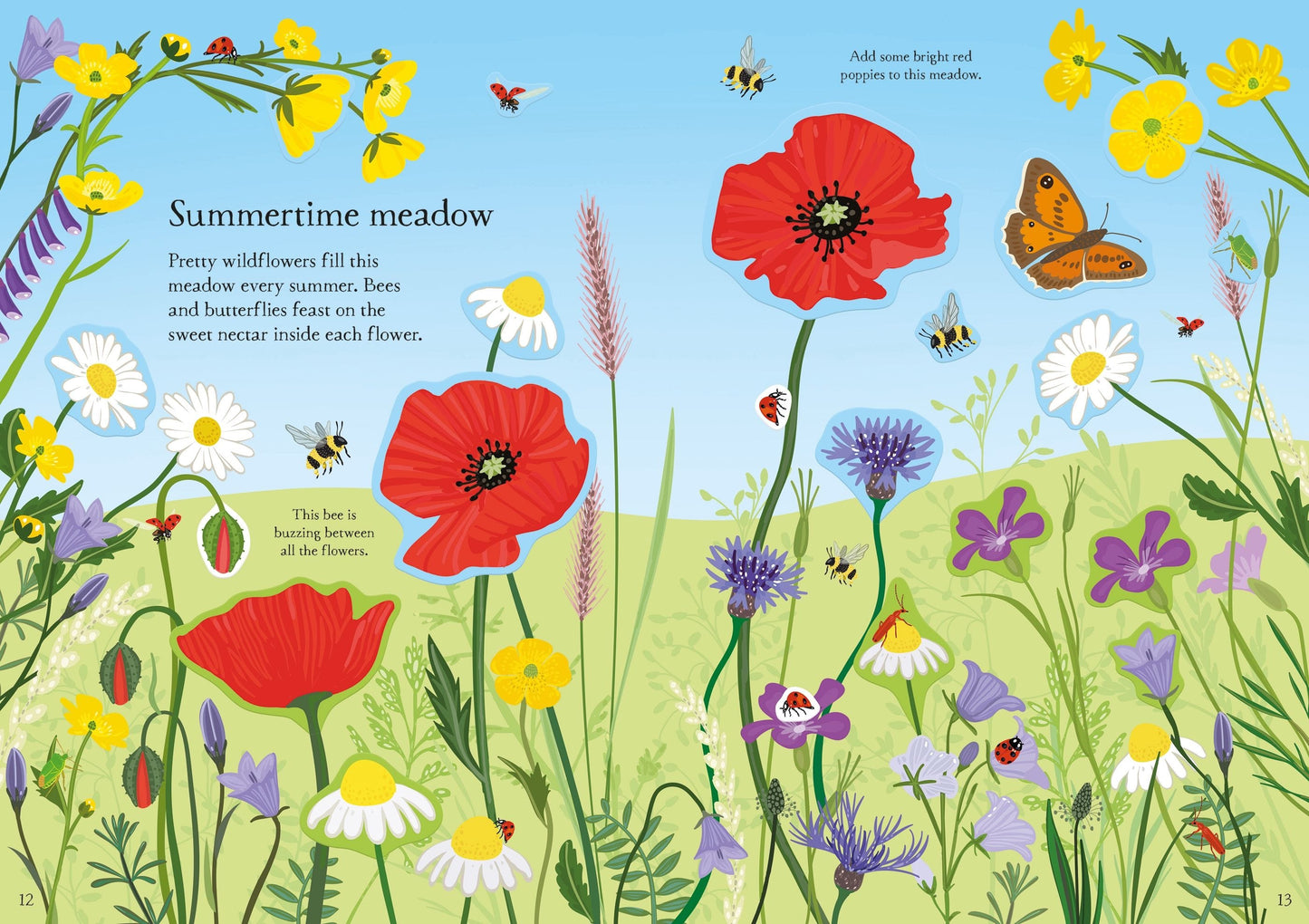 Usborne Little First Stickers Wildflowers Caroline Young Illustrated by Sarah Watkins