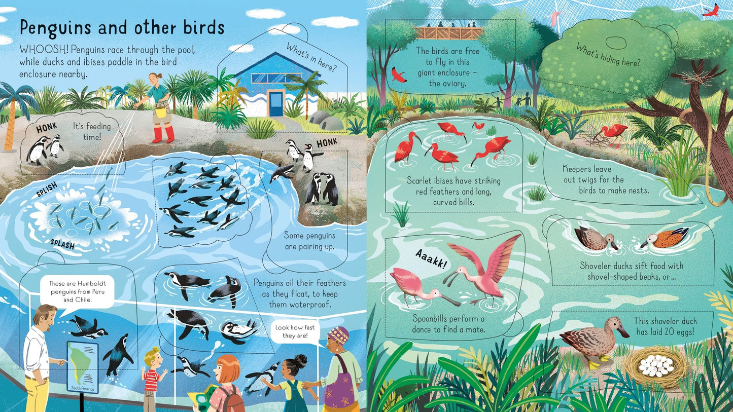 Usborne Look Inside a Zoo Minna Lacey Illustrated by Maribel Lechuga