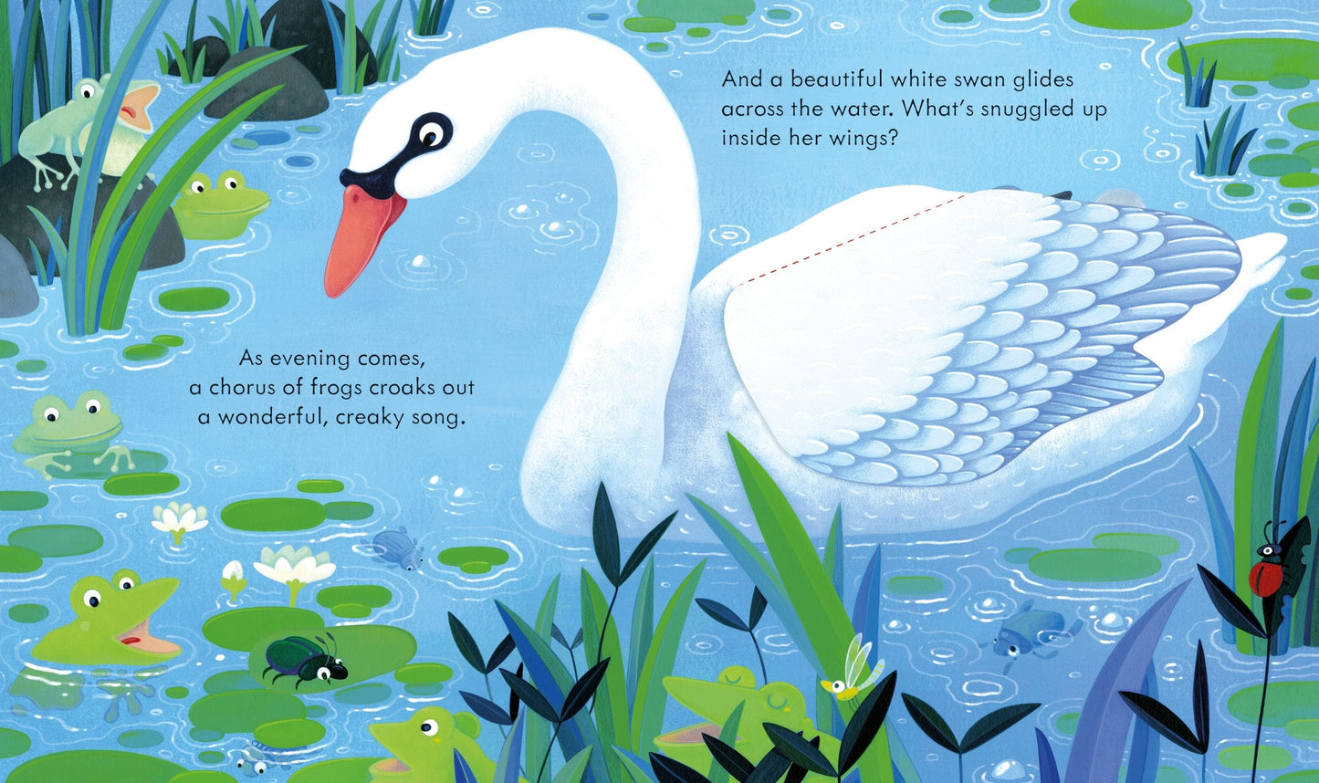 Usborne Peep Inside the Pond Anna Milbourne Illustrated by Simona Dimitri