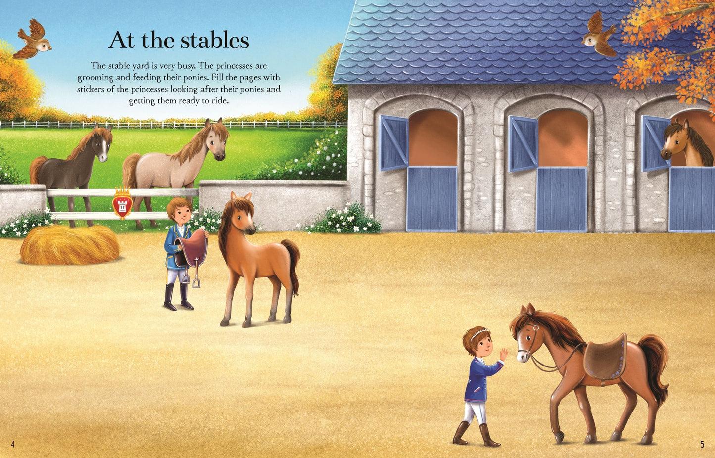 Usborne Princesses Sticker Book Fiona Watt Illustrated by Elzbieta Jarzabek