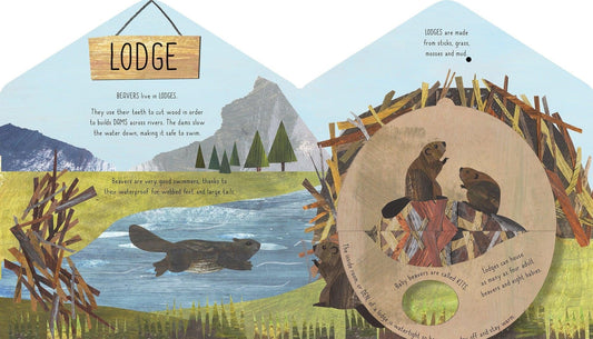 Book Bag Doha  Animal Homes A lift-the-flap book of discovery  A Clover Robin Book of Nature  Authors: Libby Walden, Clover Robin