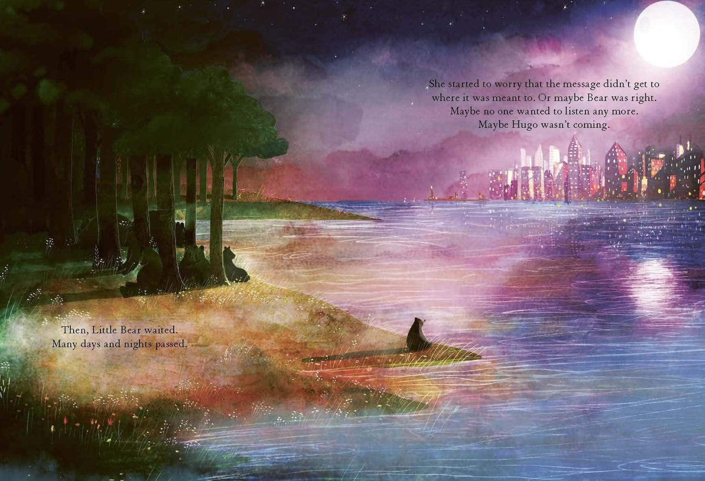Book Bag Doha Copy of The Bear, the Piano and Little Bear's Concert By David Litchfield