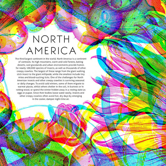 Book Bag Doha ILLUMIBUGS ByBarbara Taylor