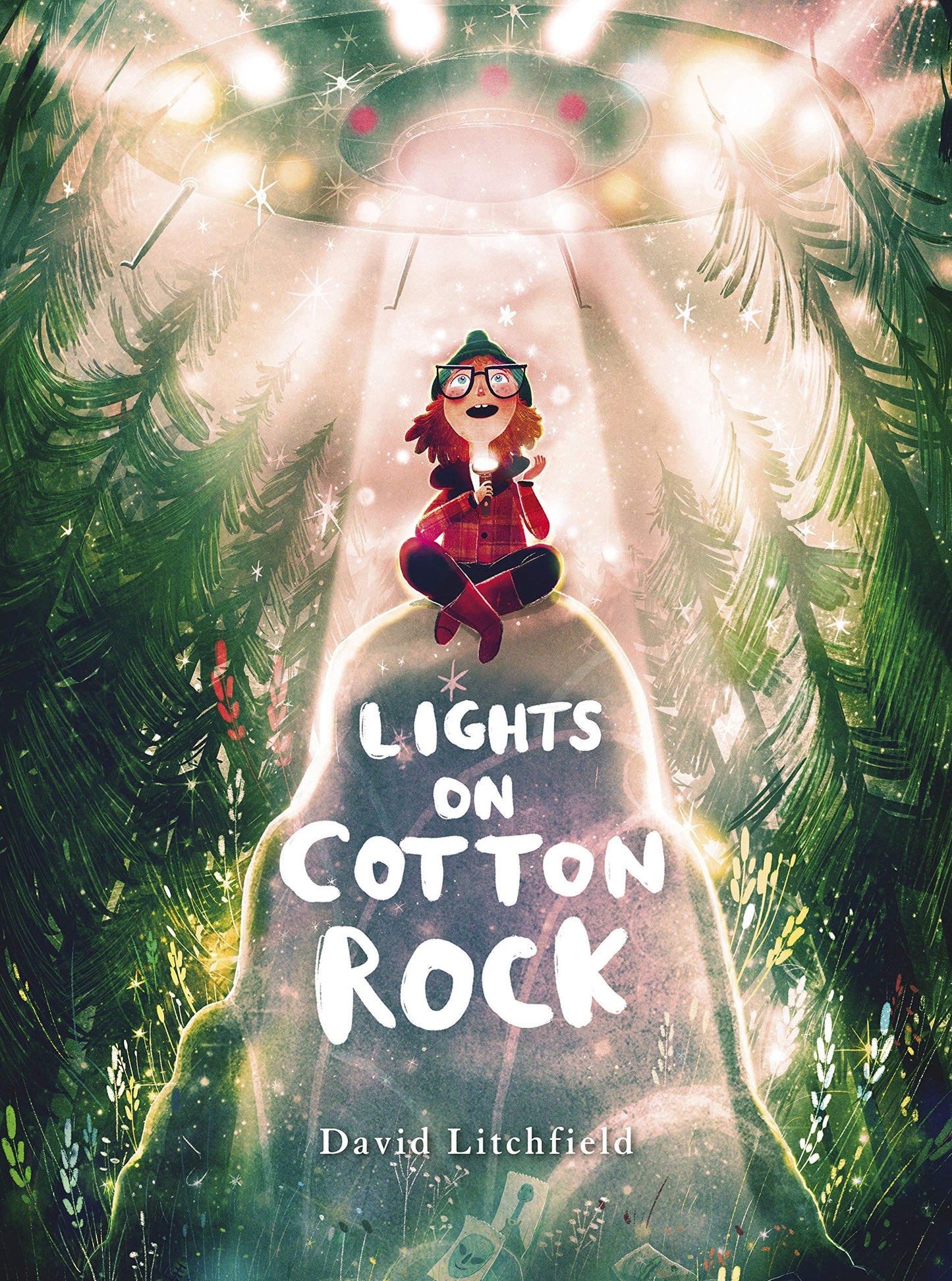 Book Bag Doha Lights on Cotton Rock? By David Litchfield