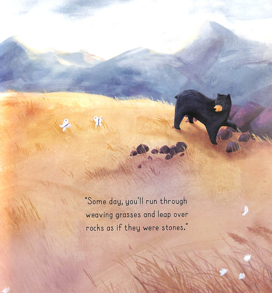 Book Bag Doha  Someday Hardcover  by Stephanie Stansbie (Author), Frances Ives (Illustrator)