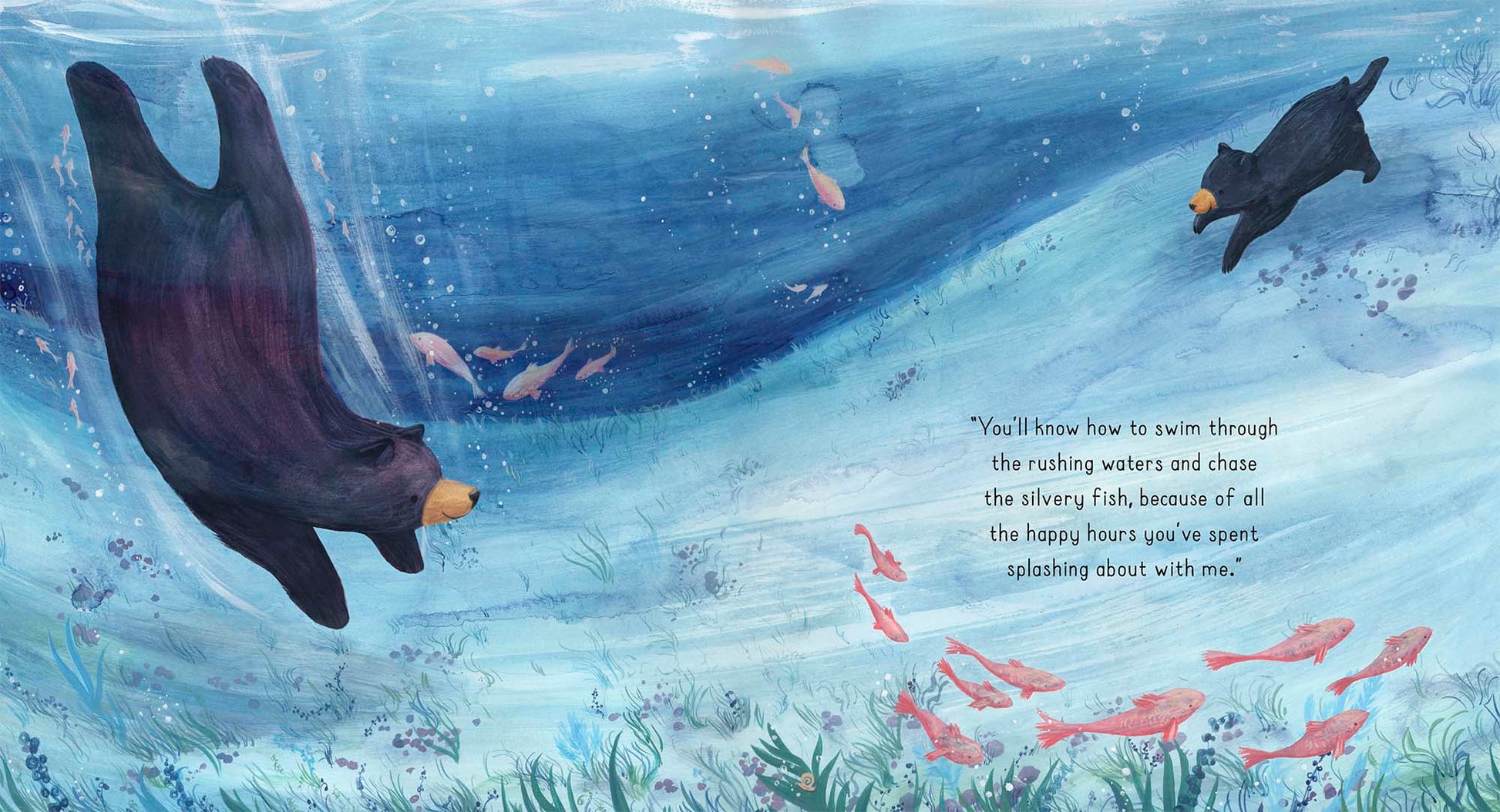 Book Bag Doha  Someday Hardcover  by Stephanie Stansbie (Author), Frances Ives (Illustrator)