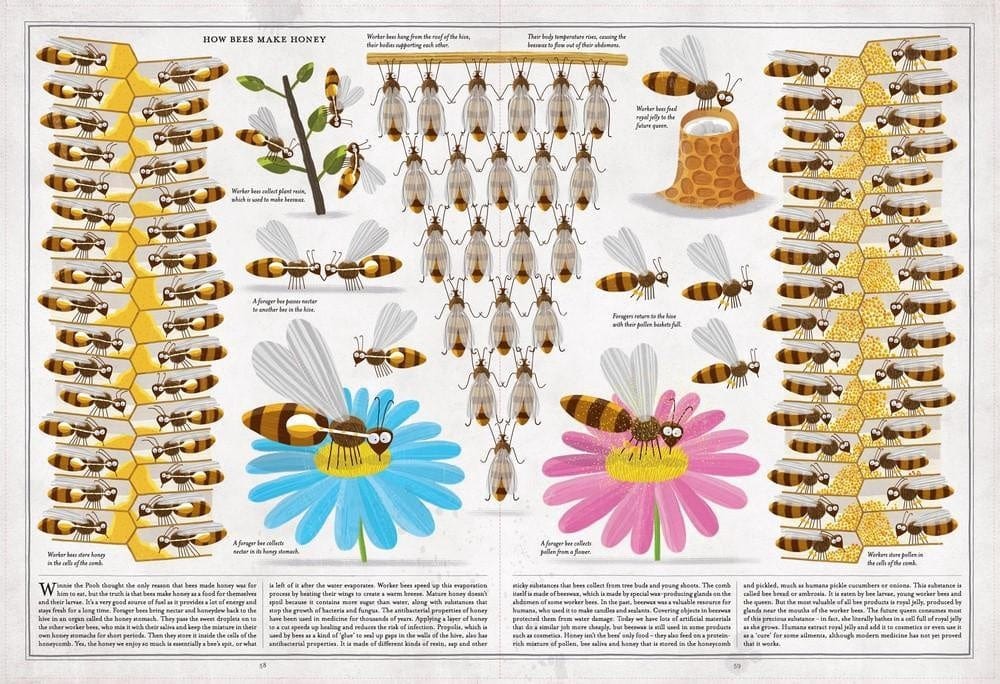 Book Bag Doha  The Book of Bees  By Piotr Socha, Wojciech Grajkowski