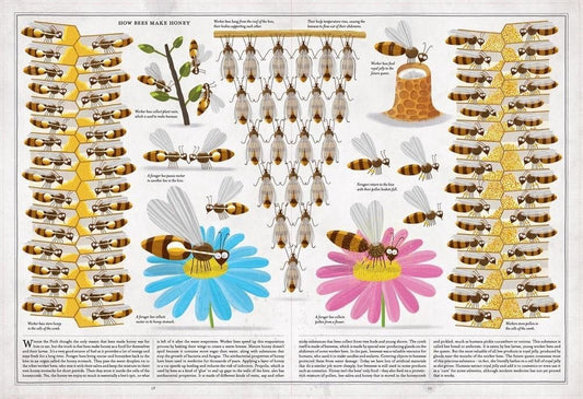 Book Bag Doha  The Book of Bees  By Piotr Socha, Wojciech Grajkowski