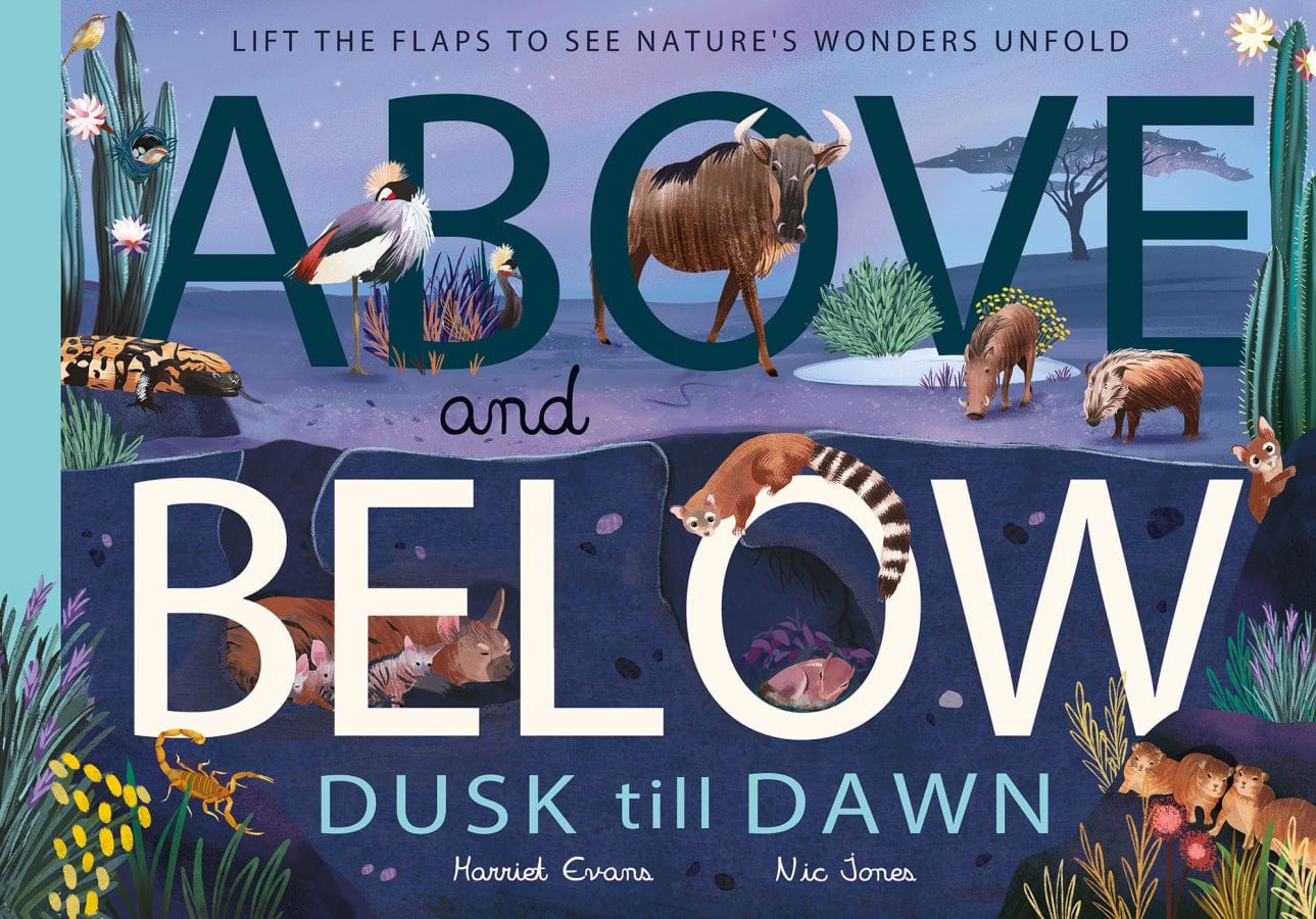 little tiger Above and Below: Dusk till Dawn Lift the flaps to see nature's wonders unfold