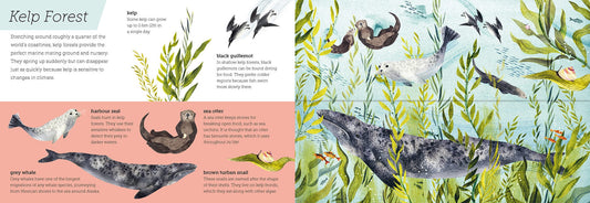 little tiger Above and Below: Sea and Shore Lift the flaps to see nature's wonders unfold   Authors: Harriet Evans, Hannah Bailey
