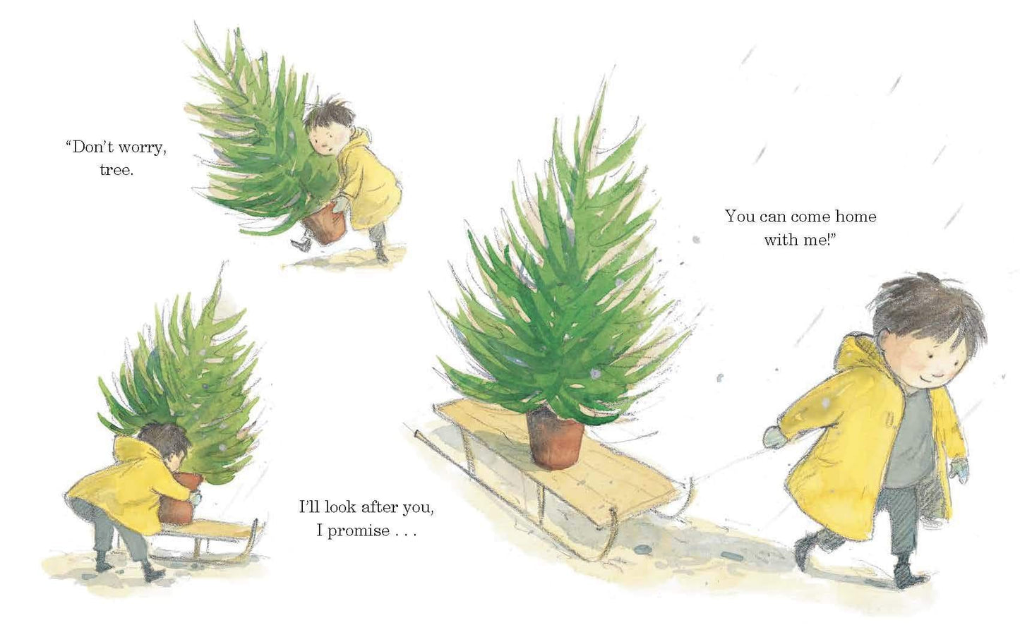 little tiger The After Christmas Tree by Bethan Welby