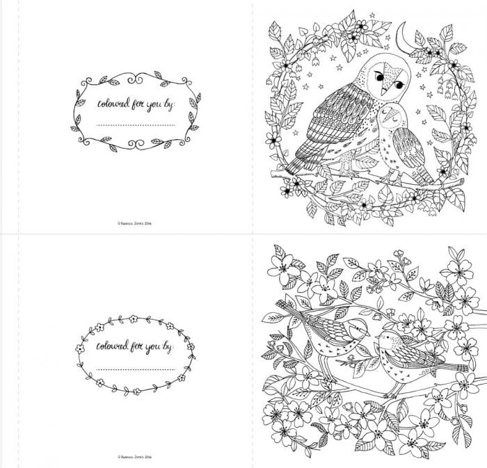 Nosy Crow The Colouring Book of Cards and Envelopes: Nature