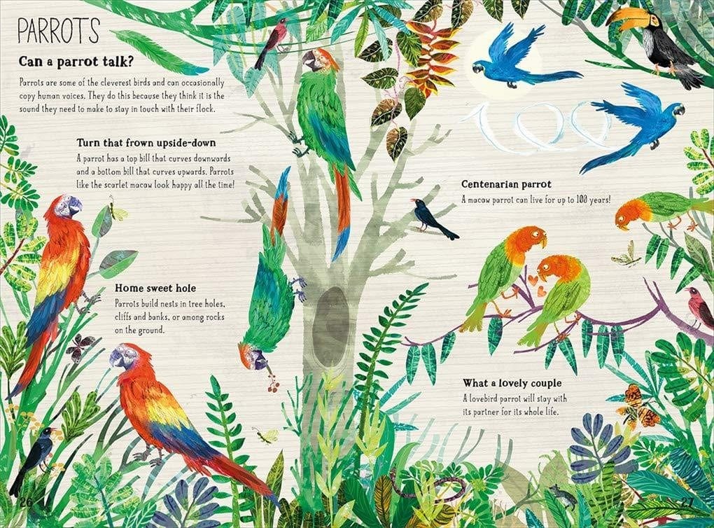 Yuval Zommer The Big Book of Birds (The Big Book series) Yuval Zommer (Hardcover)