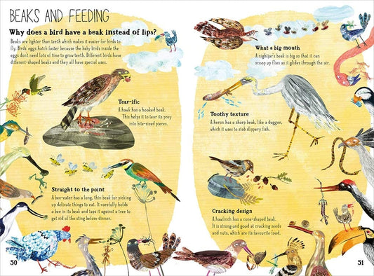 Yuval Zommer The Big Book of Birds (The Big Book series) Yuval Zommer (Hardcover)