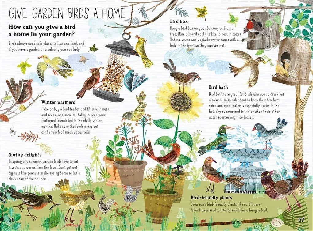 Yuval Zommer The Big Book of Birds (The Big Book series) Yuval Zommer (Hardcover)