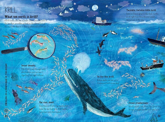 Yuval Zommer The Big Book of the Blue  by Yuval Zommer (Author)