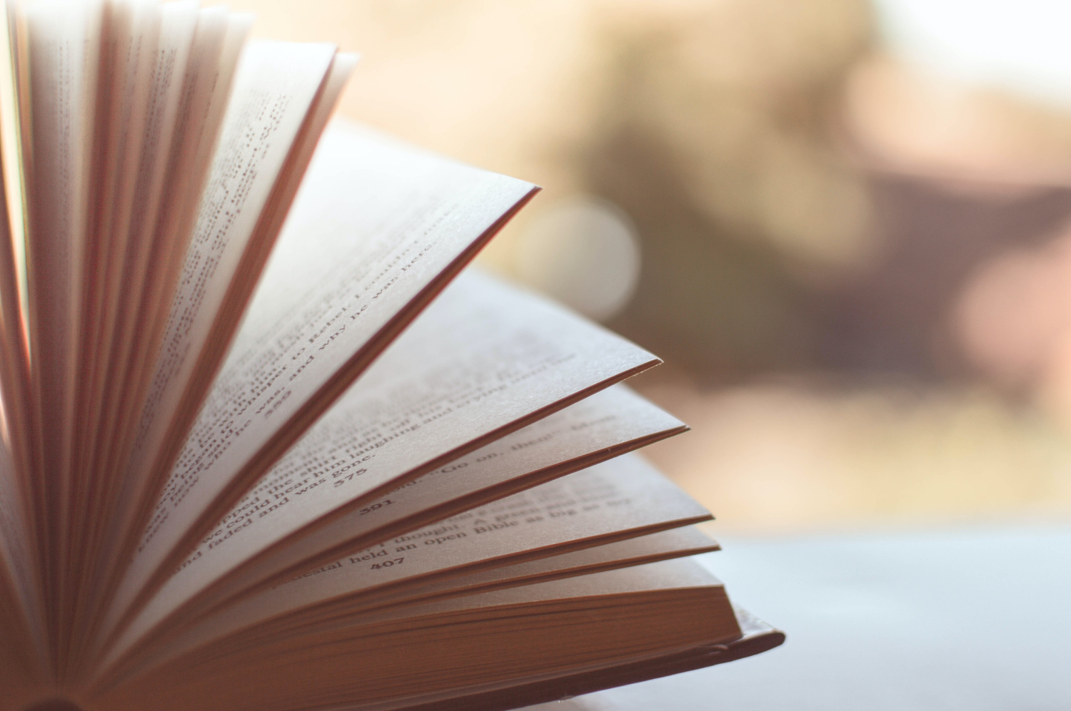 chapter books