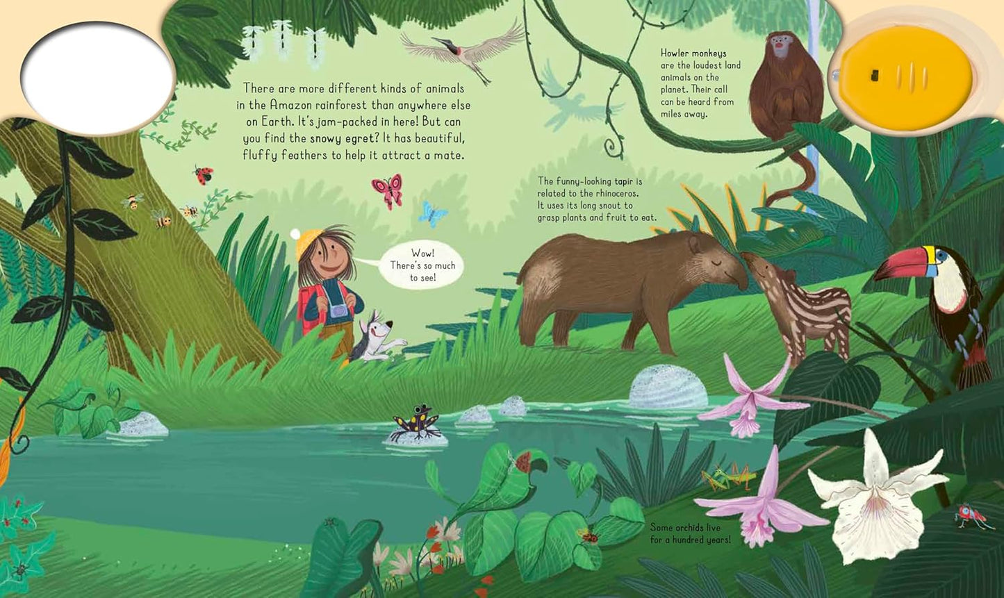 Little Tiger Magic Torch Explore the Rainforest. (Hardcover ) by Stephanie Stansbie (Author), Fabrizio Di Baldo (Illustrator)