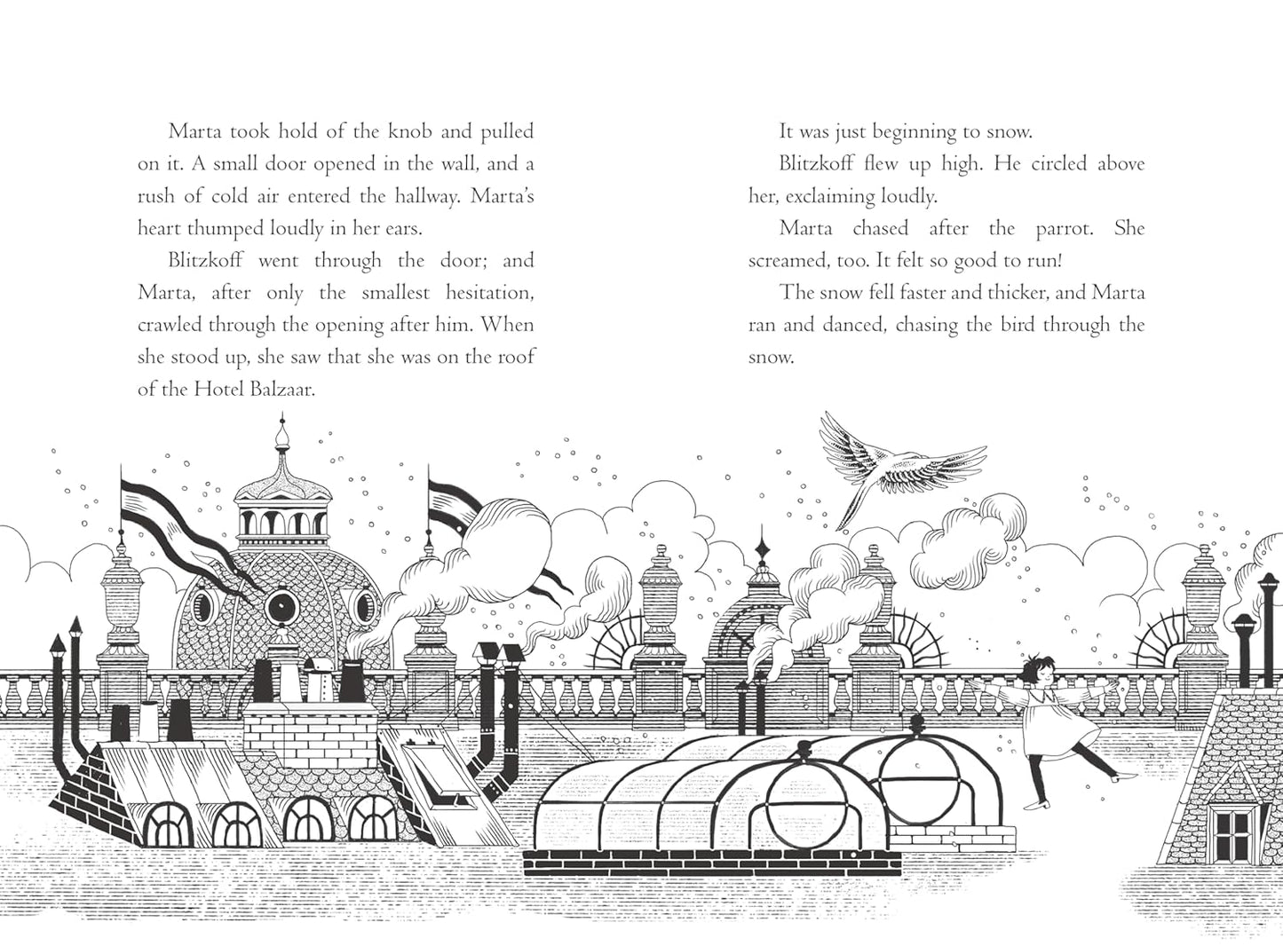 The Hotel Balzaar By Kate DiCamillo (Author), Júlia Sardà (Illustrator)