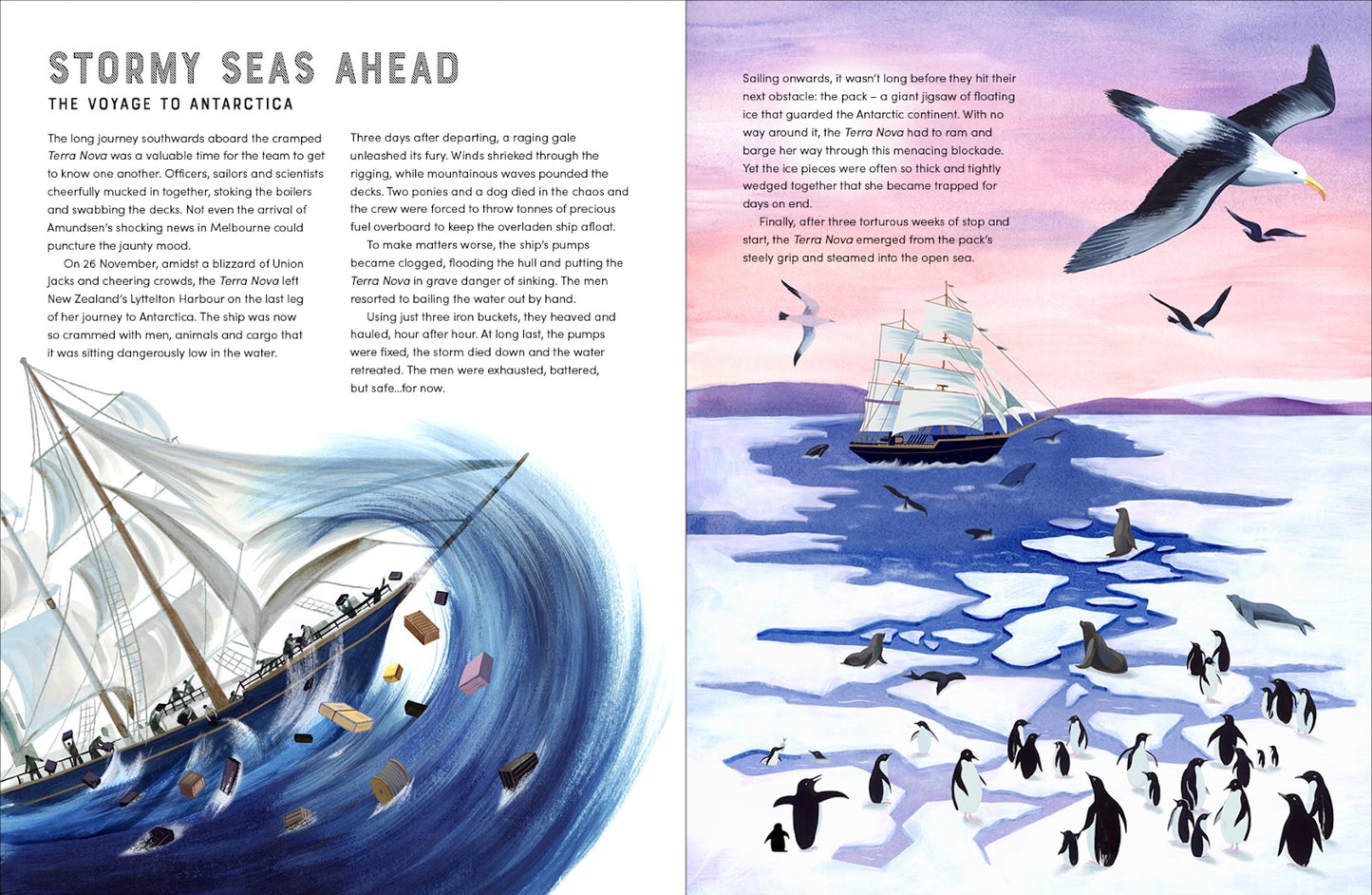 Race to the South Pole A Two-­Sided Story Alexandra Stewart, Sarah Wilkins (Hardcover)