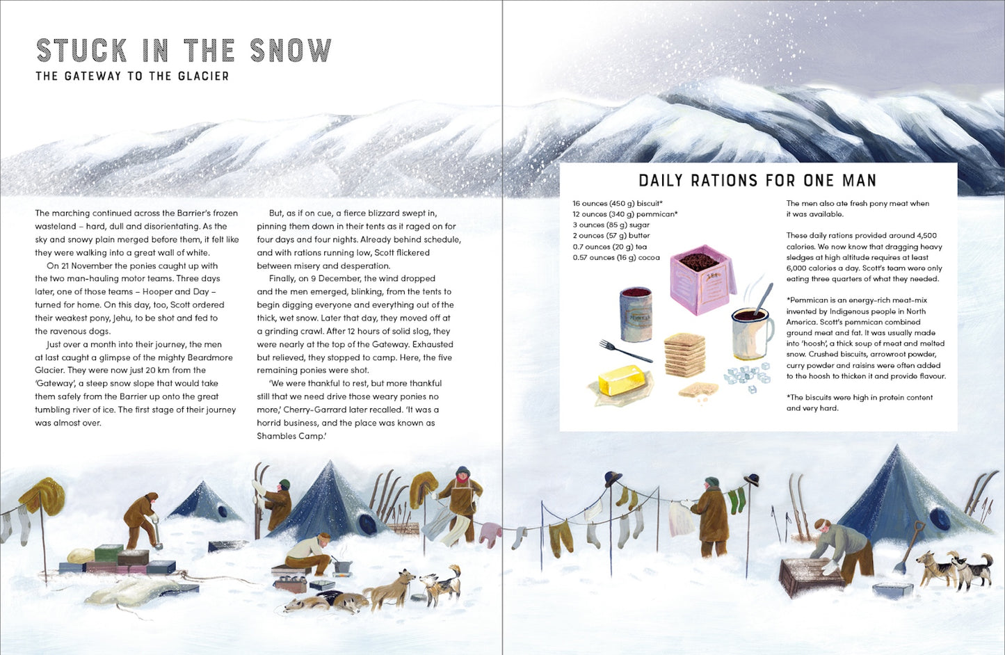 Race to the South Pole A Two-­Sided Story Alexandra Stewart, Sarah Wilkins (Hardcover)