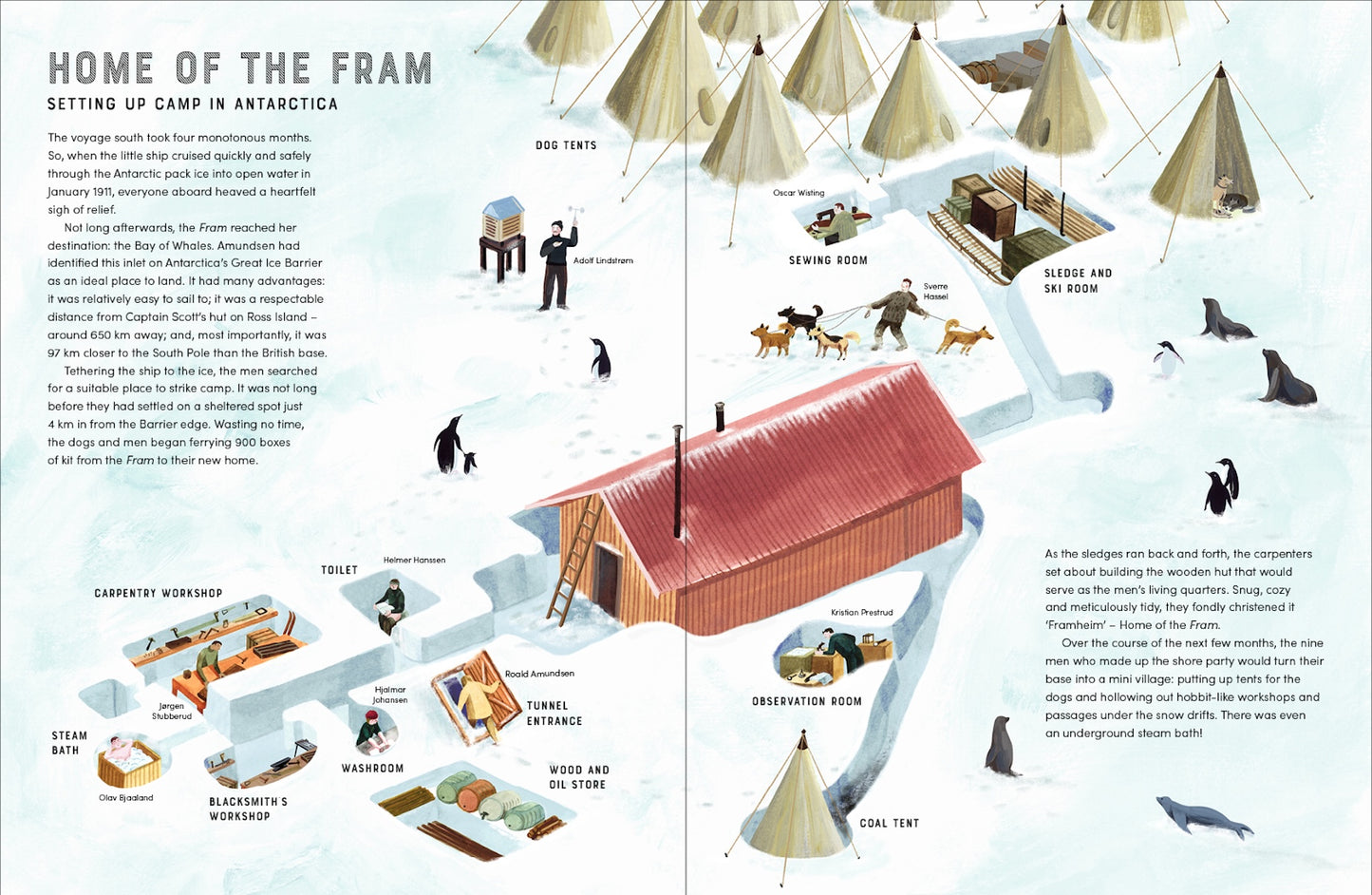 Race to the South Pole A Two-­Sided Story Alexandra Stewart, Sarah Wilkins (Hardcover)