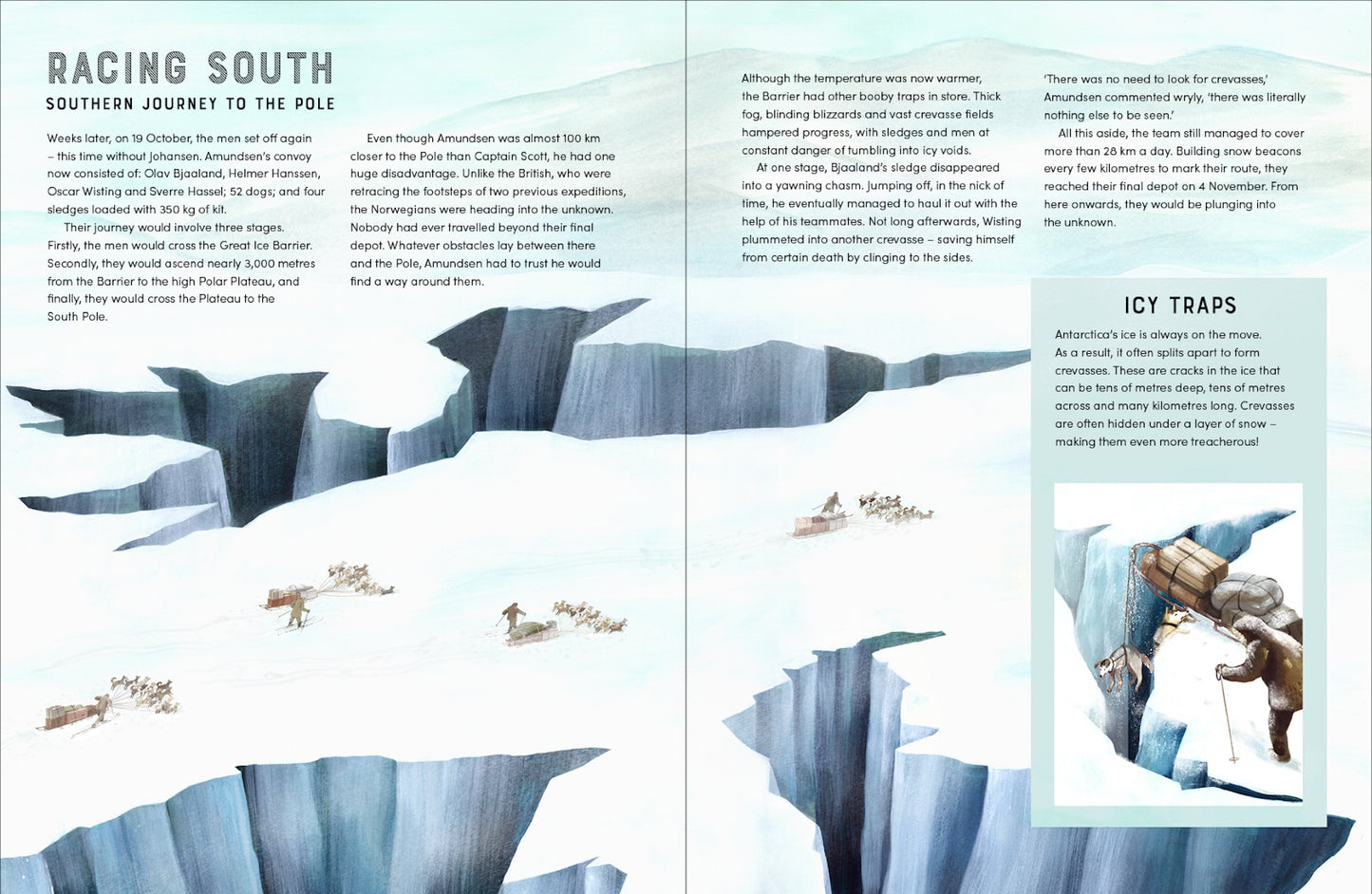 Race to the South Pole A Two-­Sided Story Alexandra Stewart, Sarah Wilkins (Hardcover)