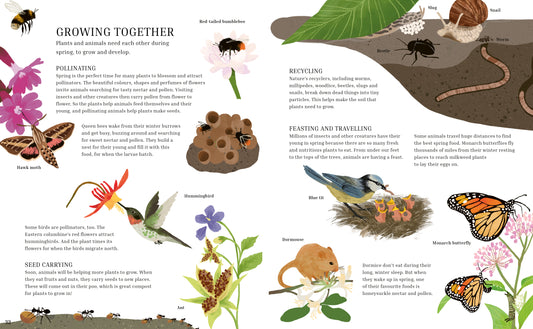 A YEAR IN NATURE BySean Taylor, Alex Morss, Cinyee Chiu (Hardcover)