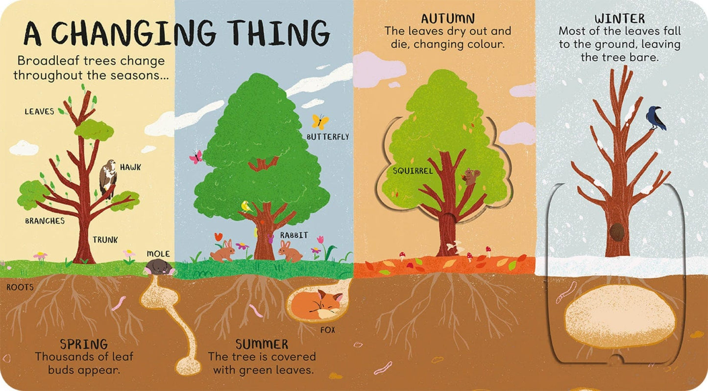 little tiger All the Things a Tree Can Be Author: James Carter, Illustrator: Nathalia Takeyama (Hardcover)