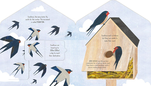 little tiger Bird House A Clover Robin Book of Nature  Author: Libby Walden, Illustrator: Clover Robin (Hardcover)