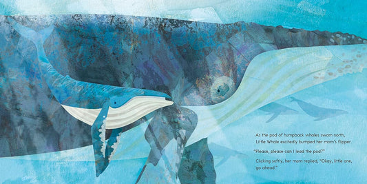 little tiger Can You Share, Little Whale? Author: Jonny Lambert (Hardcover)